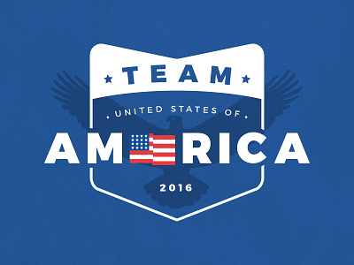 Team USA Graphic america bier eagle flag illustration photoshop team