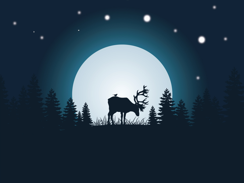 deer moonlight by Fajar Haiqal on Dribbble