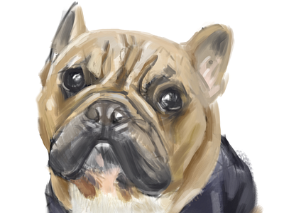 dog illustration