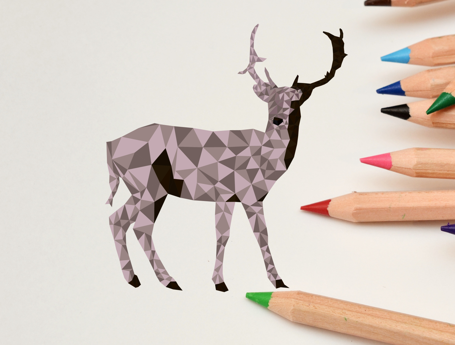 Deer Low Poly Art By Muhammad Vivaldi On Dribbble