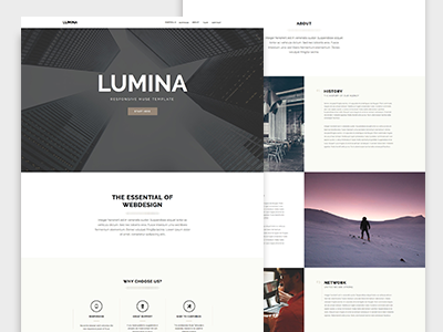 Lumina - Responsive Muse Template for Creatives & Agencies agency template business clean corporate creative creative template fully responsive modern muse onepage muse template professional responsive