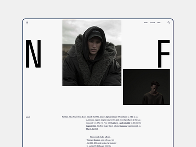 NF website desktop grid figma grid ui ux