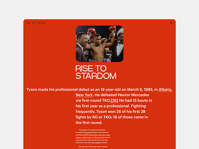 tyson concept desktop grid figma grid ui ux