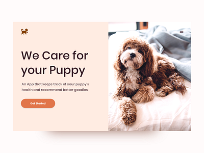 Concept UI/UX Design for Dog Care Website clean design designer interface landing page layout minimal minimalistic page typography ui uidesign uiwebdesign userinterface ux web web design webdesign webpage website