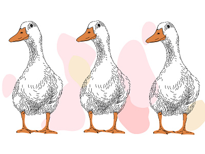 goose design illustration print print and pattern vector