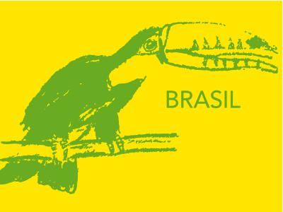 Tucano Brasileiro