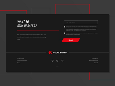 Kross redesign - newsletter section