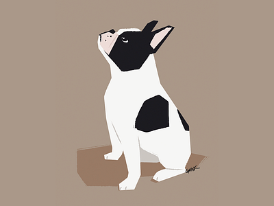 French Bulldog bulldog dog doggy illustration minimal texture