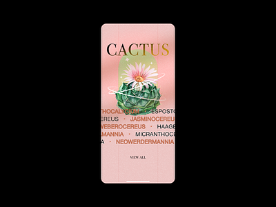 CACTUS | MOBILE bodoni 72 branding cactus design grainy helvetica neue mobile mood noise pink product design showcase ui design
