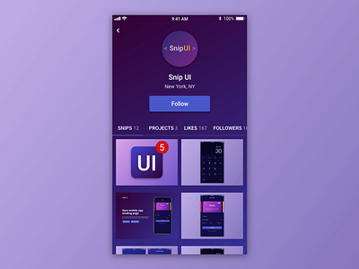 User Profile - Daily UI 006