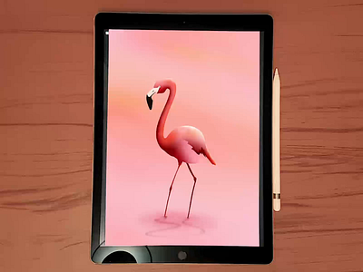 Flamingo 🦩 drawing illustration ipadpro procreate