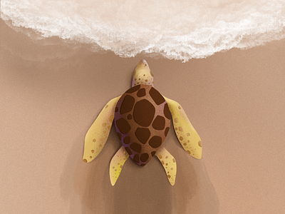 I love turtle 💚🐢 drawing illustration ipadpro procreate