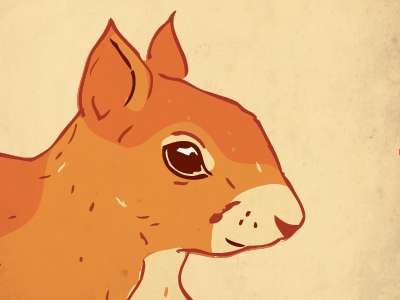 squirrel animal illustration illustrator orange red red squirrel squirrel