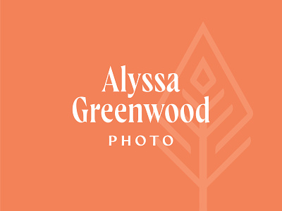 Photographer Logo branding diamond logo mark orange photographer logo tree logo typography