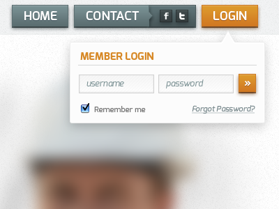 Member Login buttons fields form login social web design