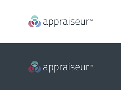 appraiseur logo brand identity logo