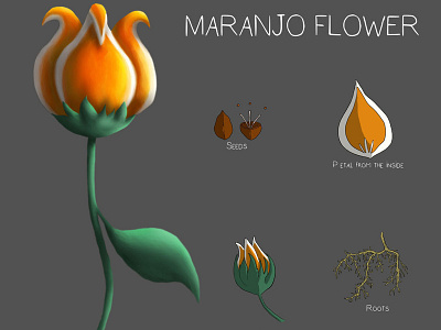 Maranjo Flower art concept concept art design digitalart fantasy flower illustration magic