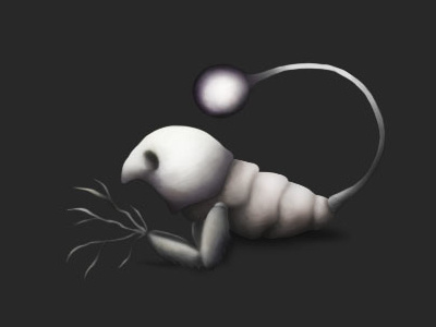 Gickza art bug character art concept concept art design digitalart dribbble fantasy illustration insect magic