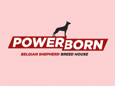 Power Born belgian branding breed creation dog house logo logocreation shepherd