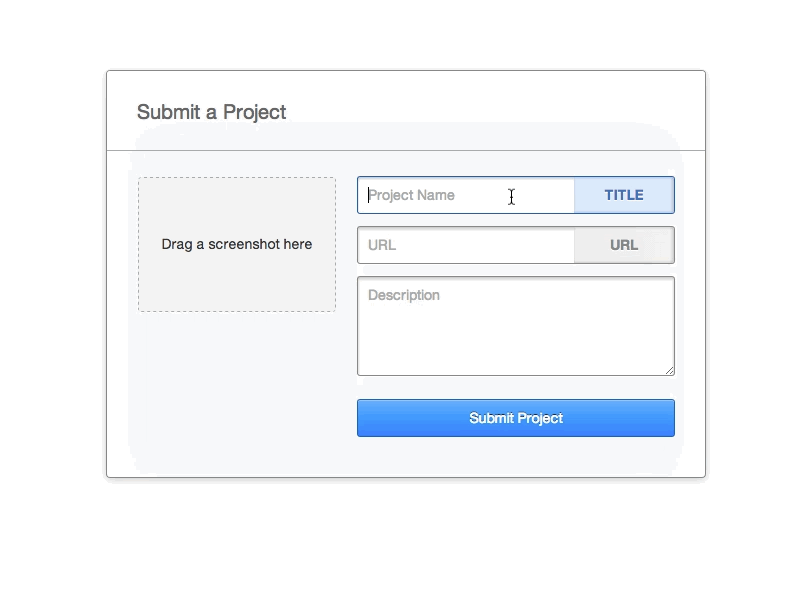 Project Submission Form