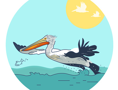 A little of pelicans for the project Pelican Way Of LIFE bird branding design fish illustration logo pelican pelicans sea stickers vector
