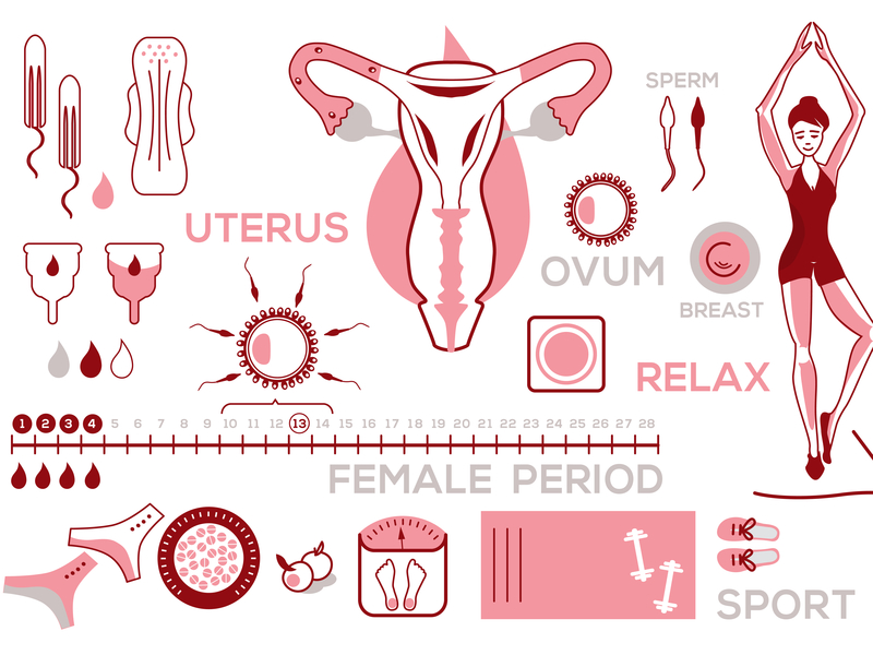 Menstrual Cycle Art 4310