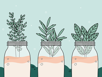 Herbs adobe illustrator design herbs illustration plants vector