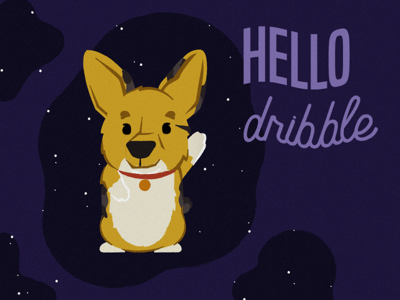 Oliver Say's "What up Dribble!" after effects corgi design illustration