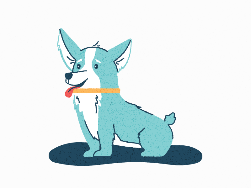 Cartoon Doggo: Week 5 after effects corgi design illustration