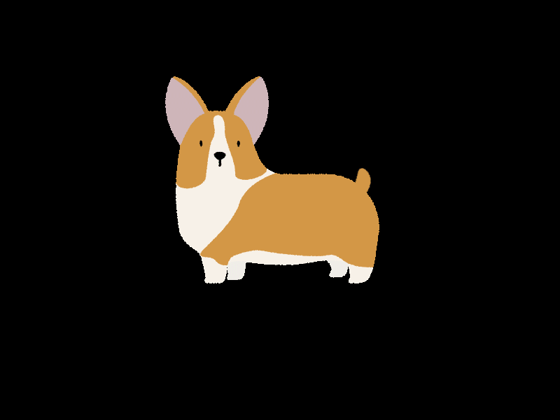 Leggy Boy Doggo: Week 9 after effects corgi design glitch illustration vector