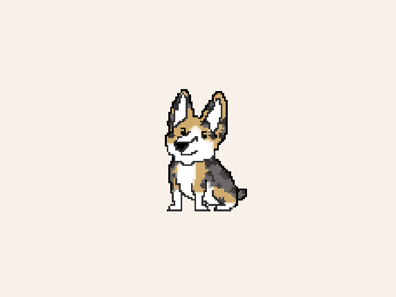 Pixel Doggo: Week 11 animation corgi design illustration photoshop pixel