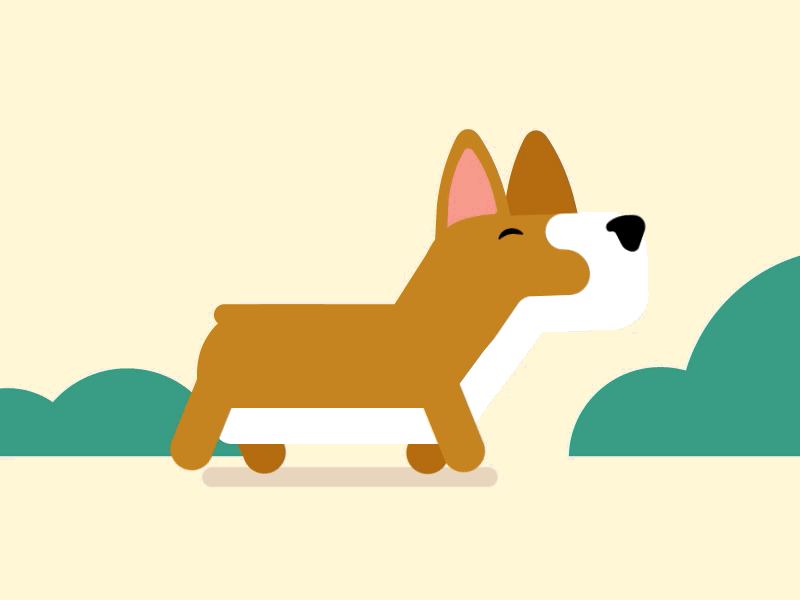 Corgi Walk Cycle after effects animation corgi design dog gif illustration vector