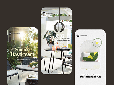 Instagram Stories - C&B capsule collection branding