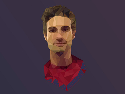 My polygon portrait face flat illustration illustrator polygon portrait