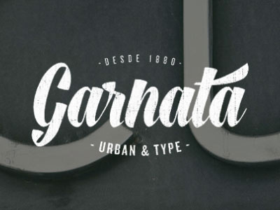 Garnata Type hand lettering logo logotype type typography