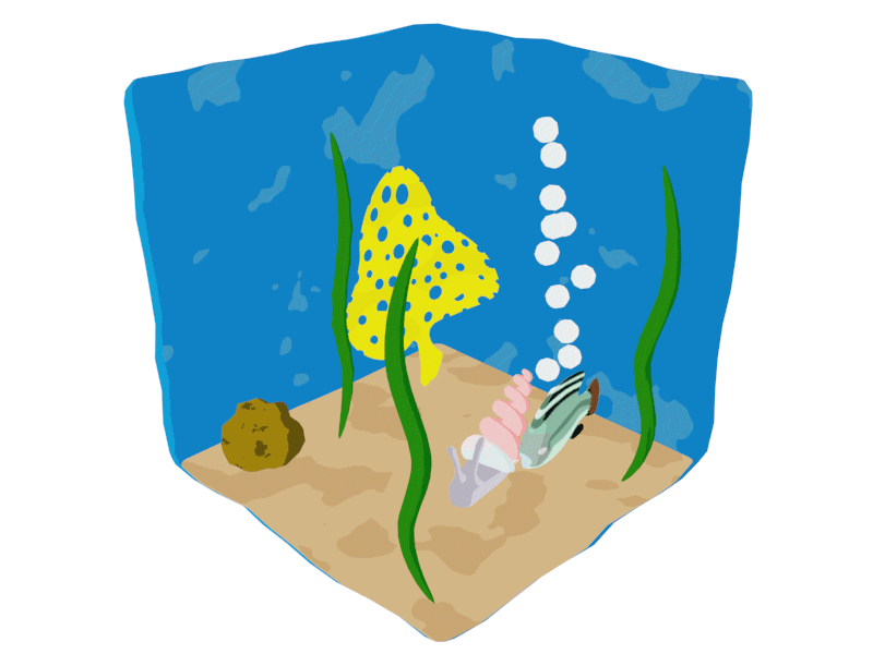Marine Biome