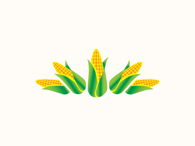 Corn agriculture agronomy corn grain green growth leaf maize organic plain plate seed