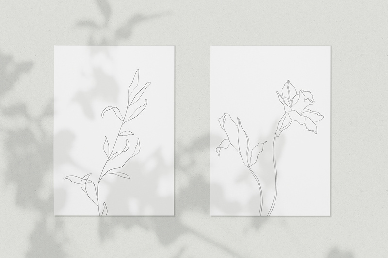Botanical Line Sketches By Galerie Design Studio On Dribbble