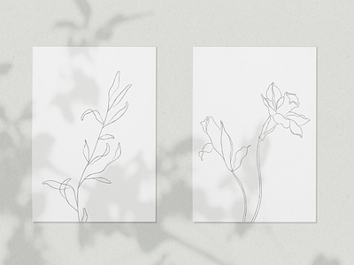 Botanical Line Sketches