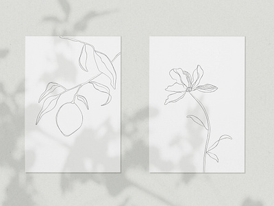 Botanical Line Drawing Designs Themes Templates And Downloadable Graphic Elements On Dribbble