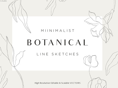 Minimalist Botanical Line Sketches botanical art botanicals floral floral art flower flower illustration illustration illustraton art leaf leaf art line art line drawing line illustration line sketches minimal minimalist sketches