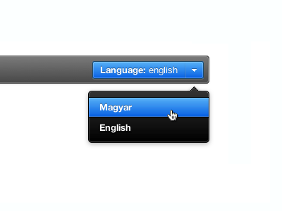 language switcher design