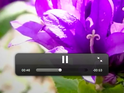 Vegetative Player Fullscreen fullscreen html5 hud player vegetative video
