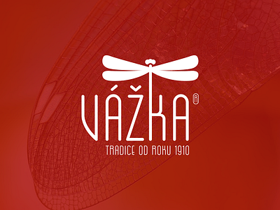 Vazka — logo redesign — brand creative logo redesign