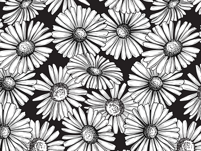 Daisy Days blackwhite blooms daisy floral illustration graphic floral illustration jennifer novak repeating patterns surface design textiles
