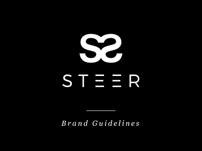 Steer Brand Identity beauty brand style guide branding business consulting cosmetics design ecommerce graphic design guidelines high end lettering logo luxury negative space parallel lines symmetry type typography upscale
