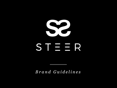 Steer Brand Identity
