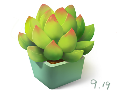 Succulent - 09/20/2018 at 03:54 AM hand painted