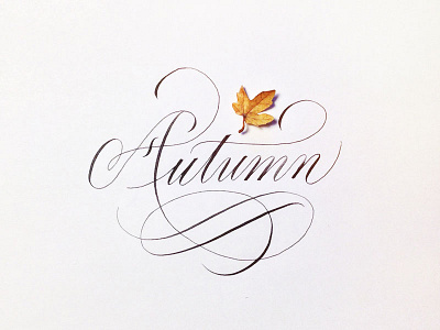 Autumn autumn calligraphy classy copperplate cursive elegant english fall flourish flourishes leaf