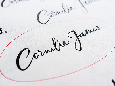 Cornelia James Brush Sketch branding brush cornelia james hand lettering handlettering lettering logo logotype script